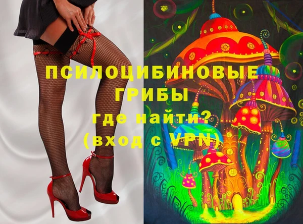 дживик Горняк