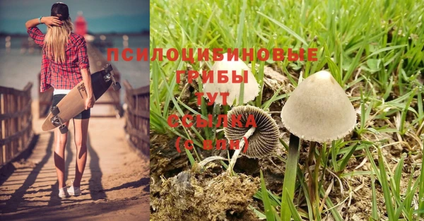 прущие крисы Горнозаводск