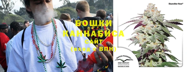 дживик Горняк