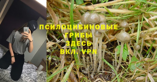 дживик Горняк