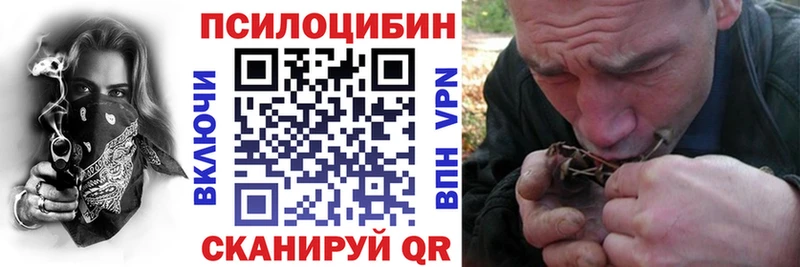Псилоцибиновые грибы мицелий  где купить наркоту  Москва 